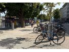 Two closed GIFAS power supply bollards along a tree-lined waterfront promenade with parked bicycles and pedestrians