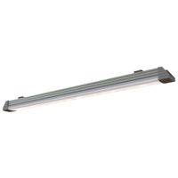 BetaLUXX ceiling light 60, 55W / 230VAC, IP66,