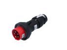 Plug Ex CEAG IP66