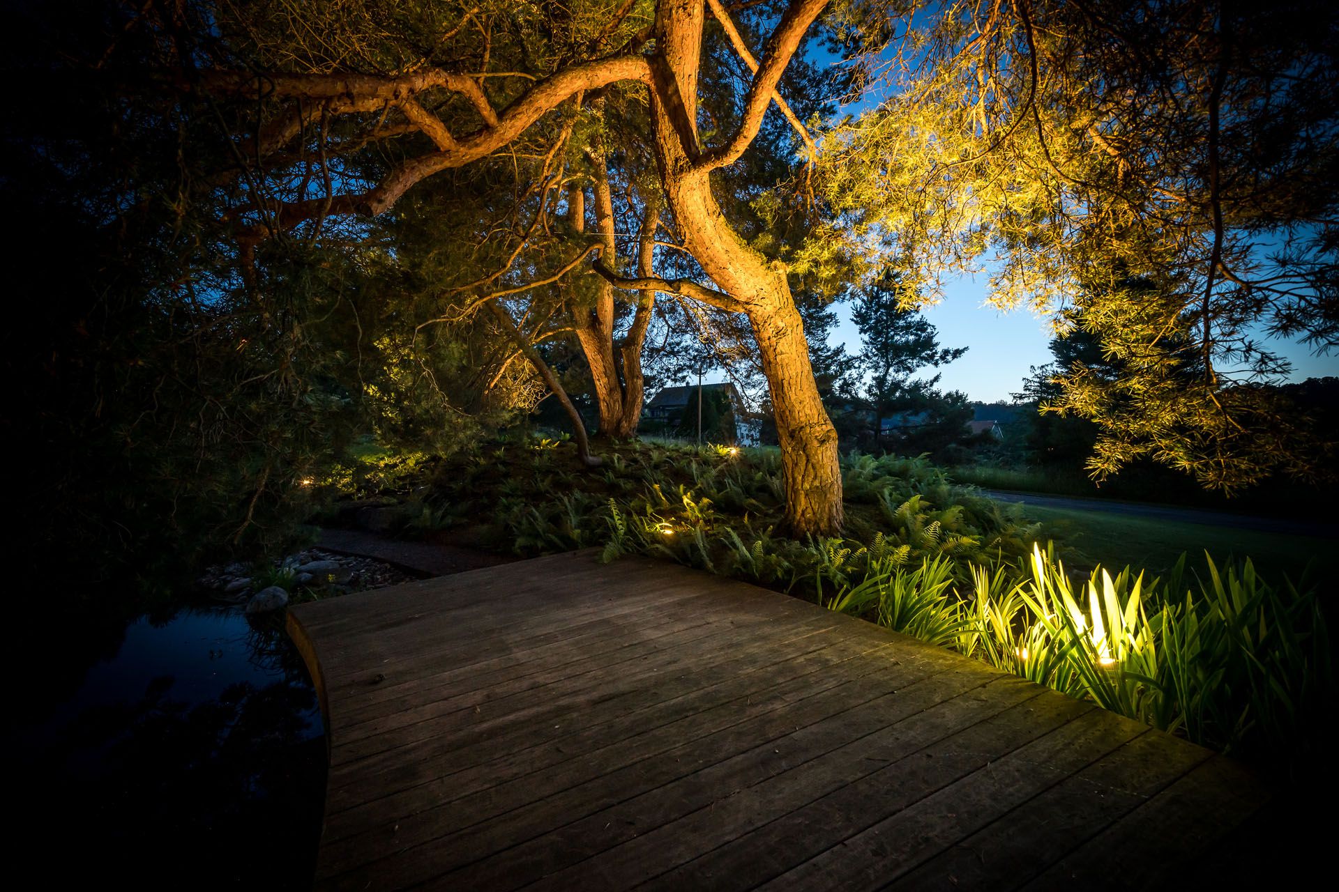 Atmospheric garden lighting with VisuLED accent lights that warmly illuminate trees and plants along a wooden walkway
