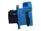 Einbausteckdose Typ 23 IP55 blau