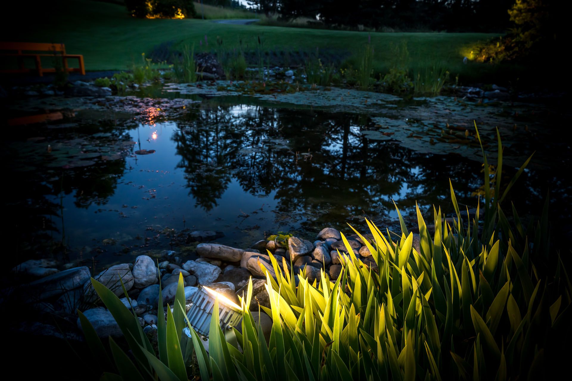 VisuLED garden lighting highlights plants at the edge of the pond and creates atmospheric accents on the water surface