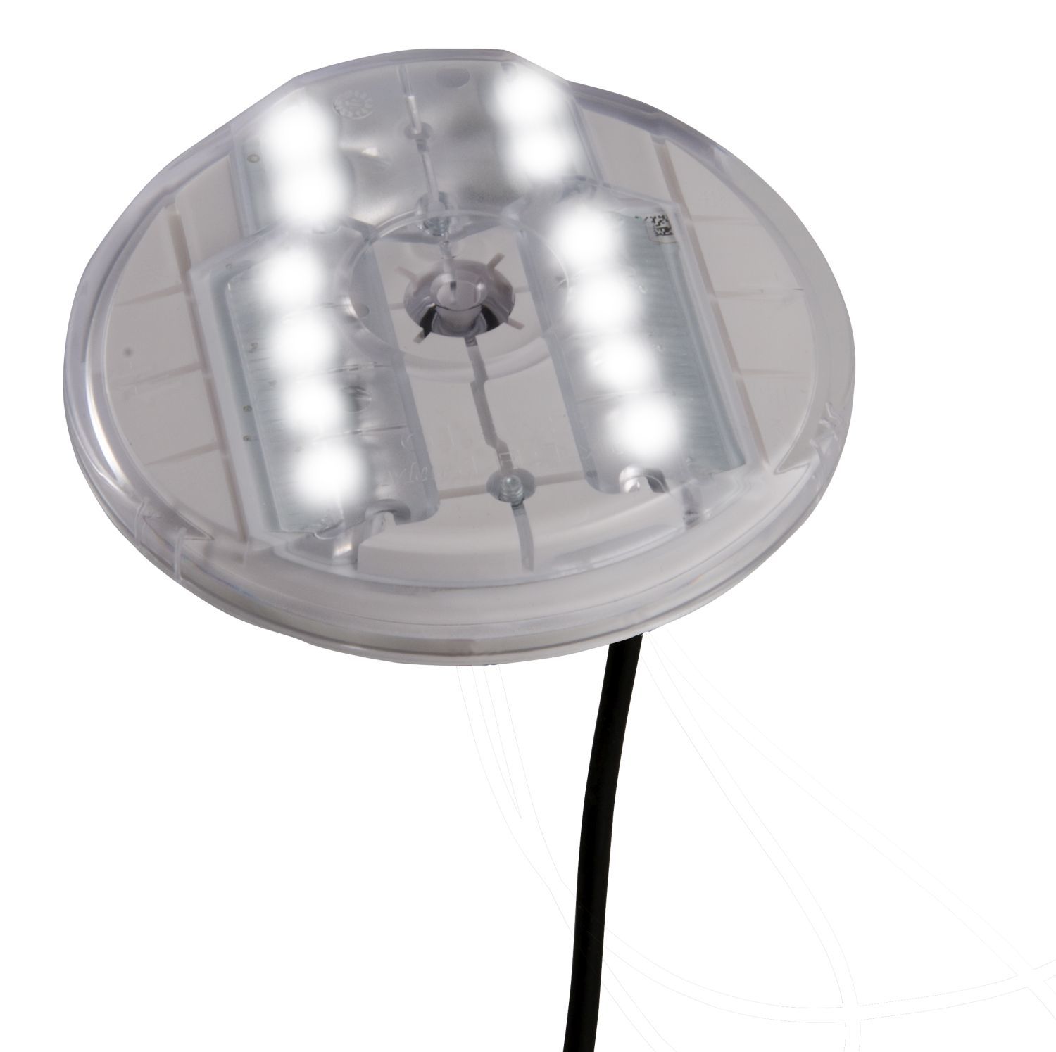 MarkLED EXIT avec câble 4x0.25mm², 2m