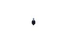 Wing screw