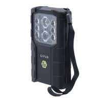 TorchLED 2 Ex, IP54 with emergency