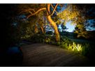 Atmospheric garden lighting with VisuLED accent lights that warmly illuminate trees and plants along a wooden walkway