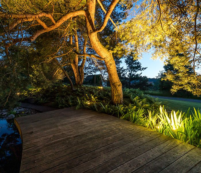 Éclairage de jardin et d'extérieur le long d'une passerelle en bois - éclairage d'ambiance pour les campings