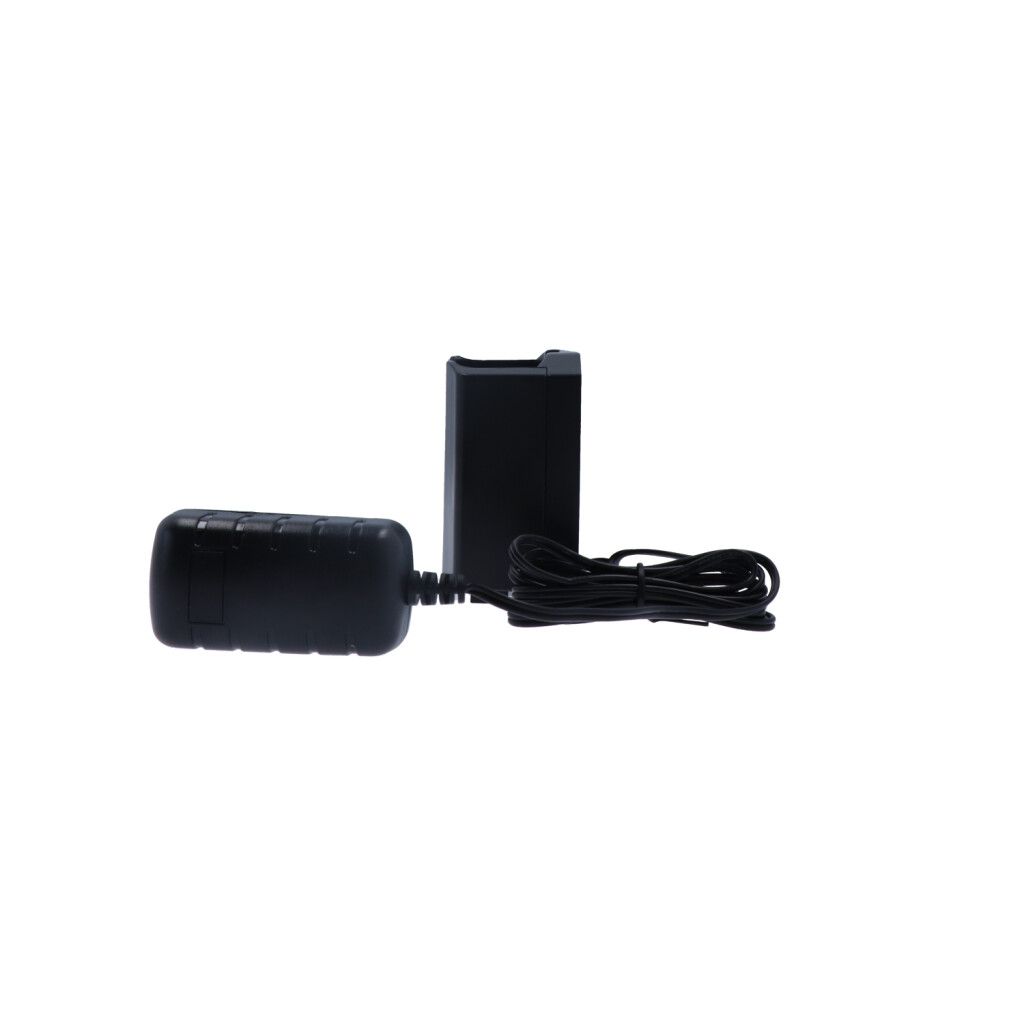 TorchLED charging station, 230VAC/12-48VDC,