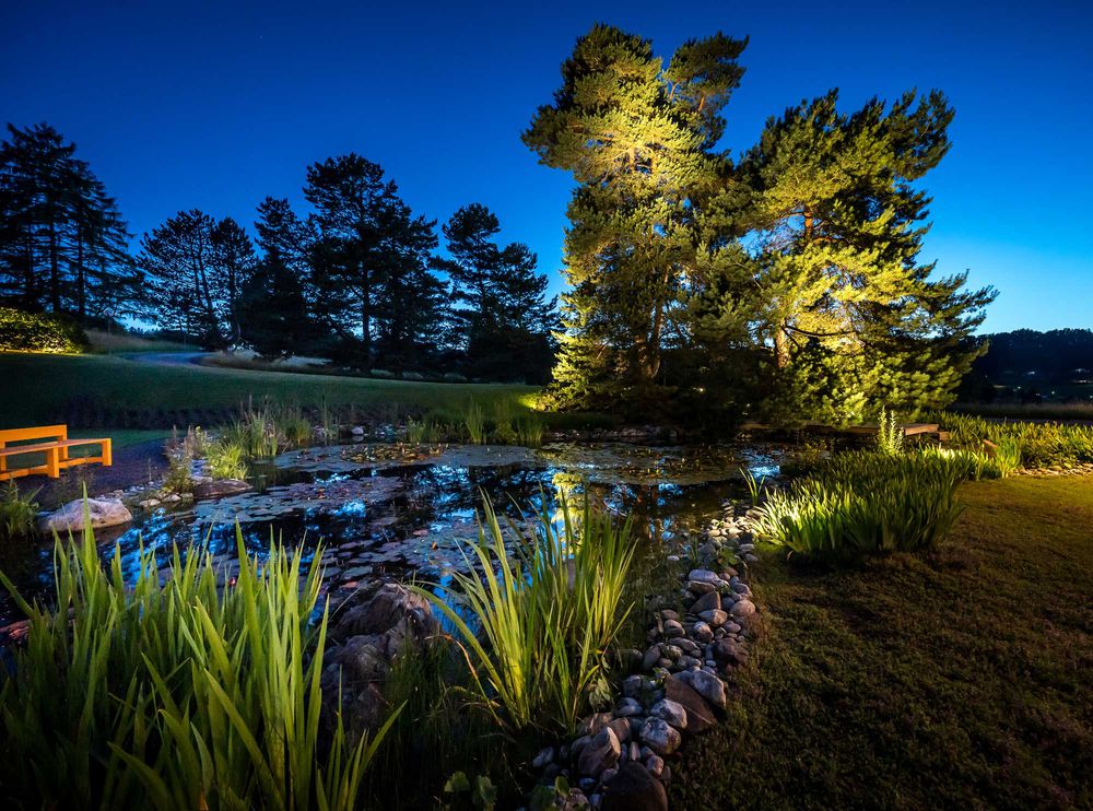 Atmospheric garden lighting in your own home with targeted outdoor lighting of trees and water features at night