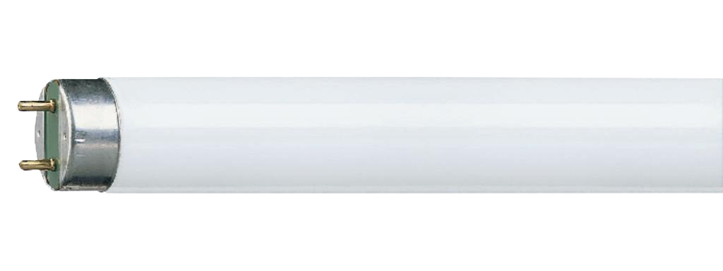Tube TL-T8 36W/G13 (840