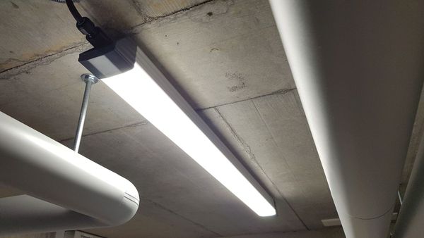 Le luminaire à LED BetaLUXX pour un éclairage efficace de la cave d'une maison individuelle à Eichberg - économe en énergie et robuste