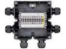 Scatola di derivazione Ex poliamide IP66