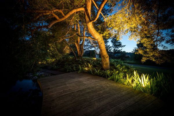 Atmospheric garden lighting with VisuLED accent lights that warmly illuminate trees and plants along a wooden walkway