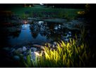 VisuLED garden lighting highlights plants at the edge of the pond and creates atmospheric accents on the water surface