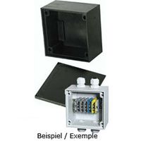 Boîte de dérivation type 1010 noire