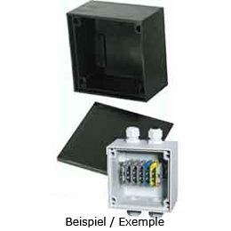 Boîte de dérivation type 1010 noire