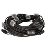 RoadLED LED string l=25m, 24 light modules,
