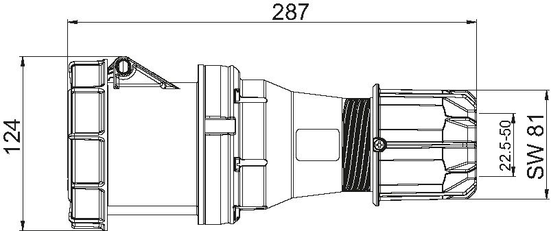 Presa in plastica CEE IP67