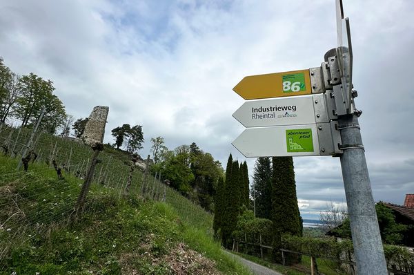 Wegweiser zum Industrieweg Rheintal in Rheineck mit Aussicht auf die Burgruine und Rebhänge.